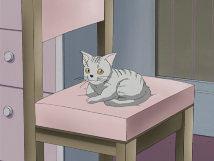 Kokoro Toshokan (Fansubber)